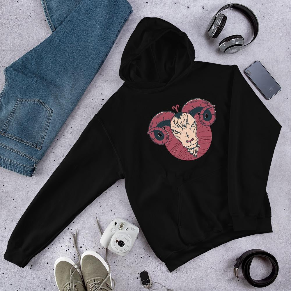 Aries Zodiac graphic hoodie – Fourth Dimension Club