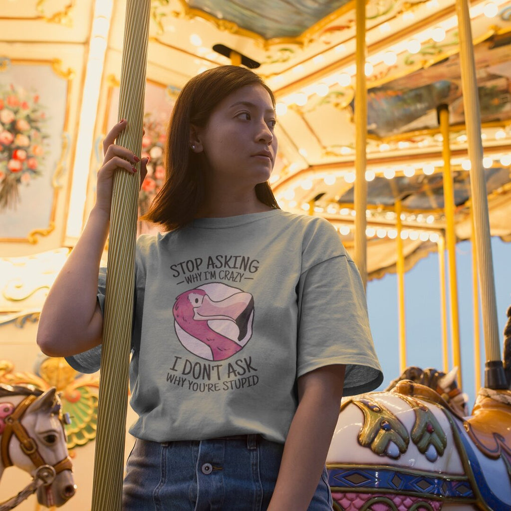 Crazy Flamingo oversized tee front graphic – Fourth Dimension Club